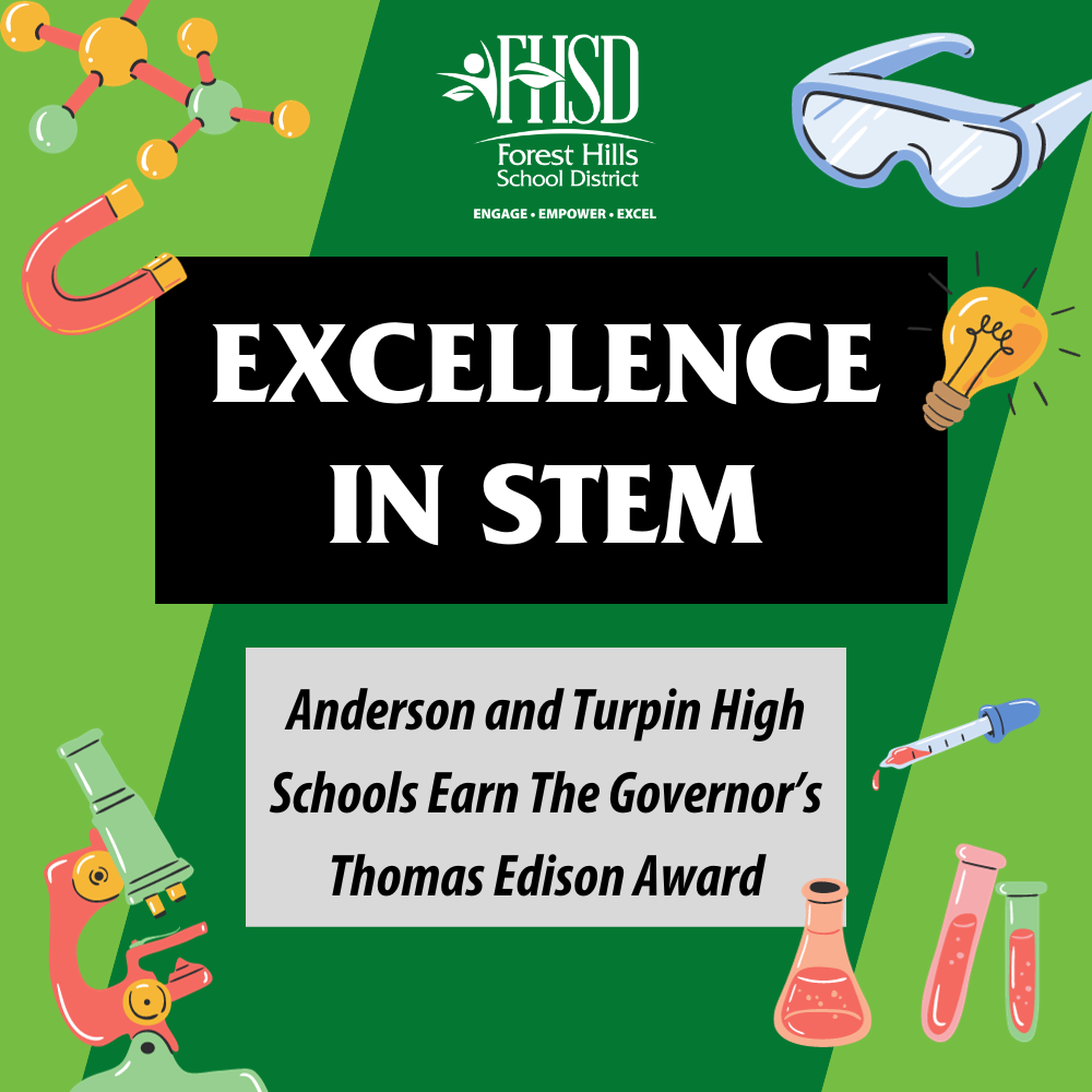 Graphic that reads Excellence in STEM